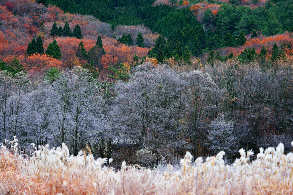 －４℃の朝　その３_d0008257_7492474.jpg