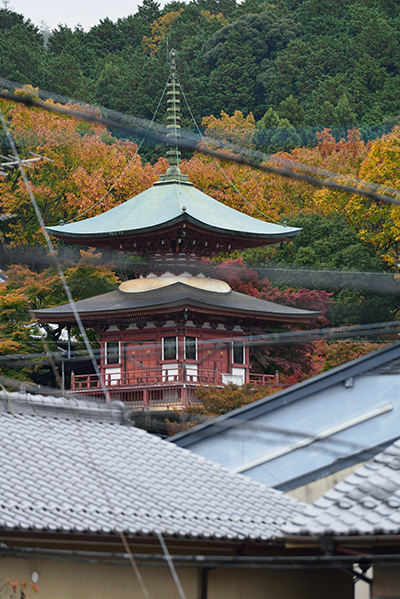 完成建物見学会「木の温もりを感じる 三宅八幡の家」_e0164563_9181177.jpg