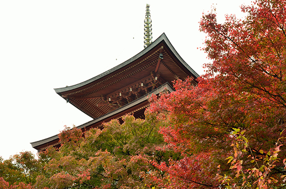 完成建物見学会「木の温もりを感じる 三宅八幡の家」_e0164563_9183960.jpg