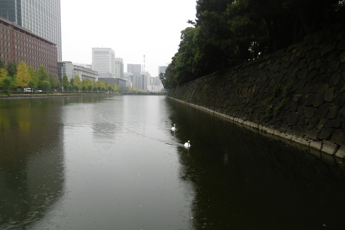 雨にも負けず、東京って_f0205367_18324237.jpg