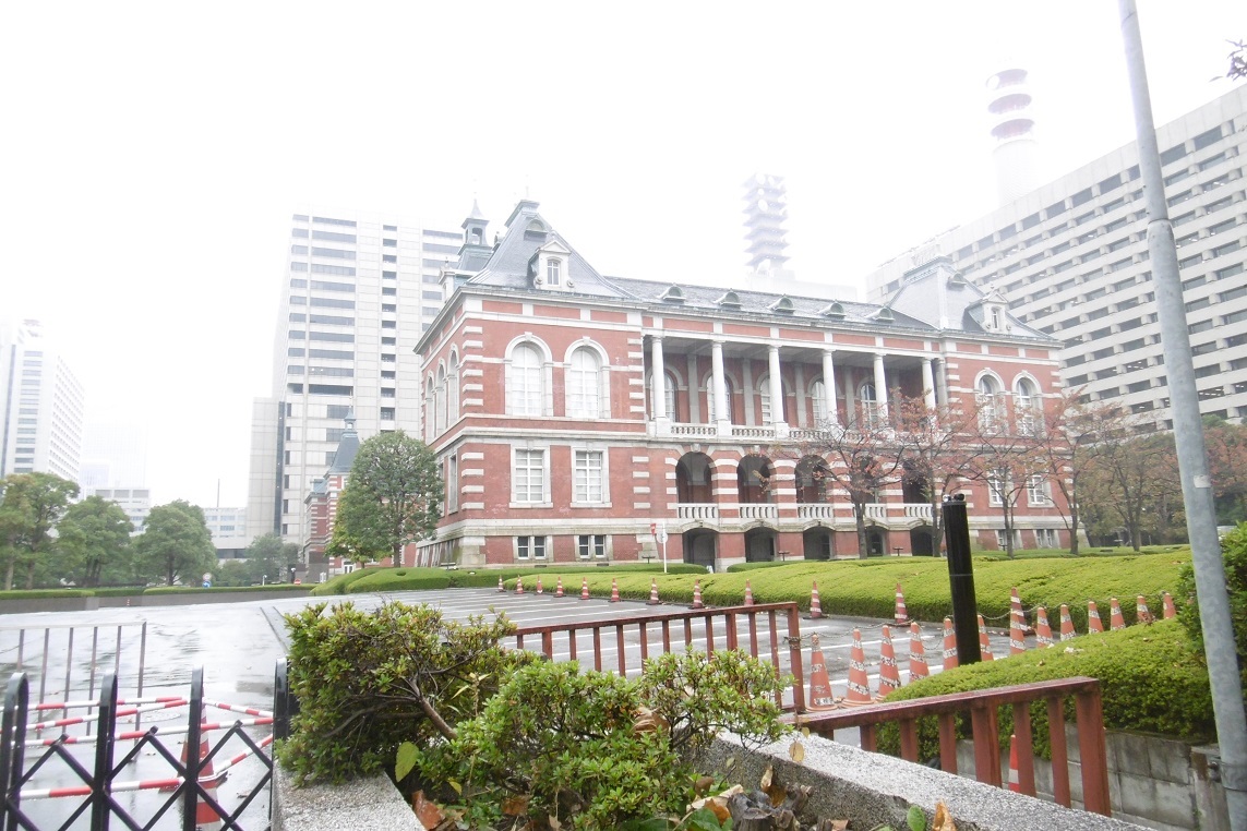 雨にも負けず、東京って_f0205367_18424511.jpg