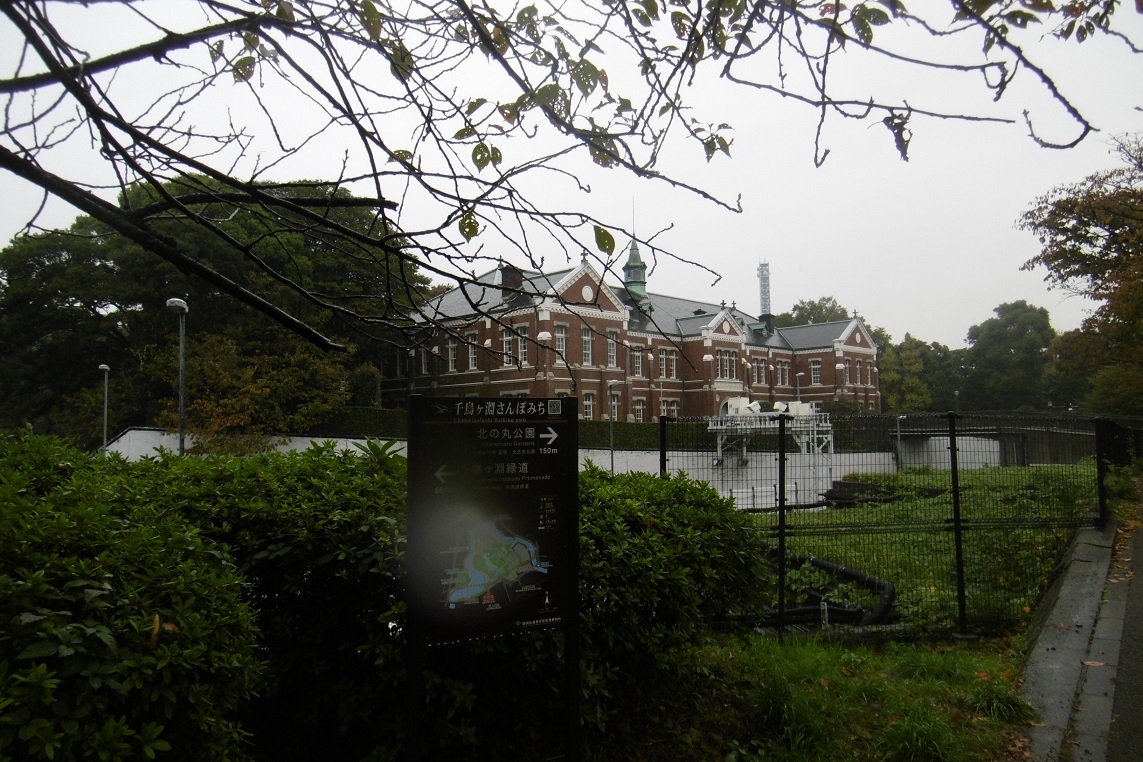 雨にも負けず、東京って_f0205367_18592218.jpg