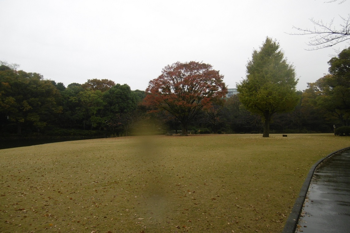 雨にも負けず、東京って_f0205367_19020490.jpg
