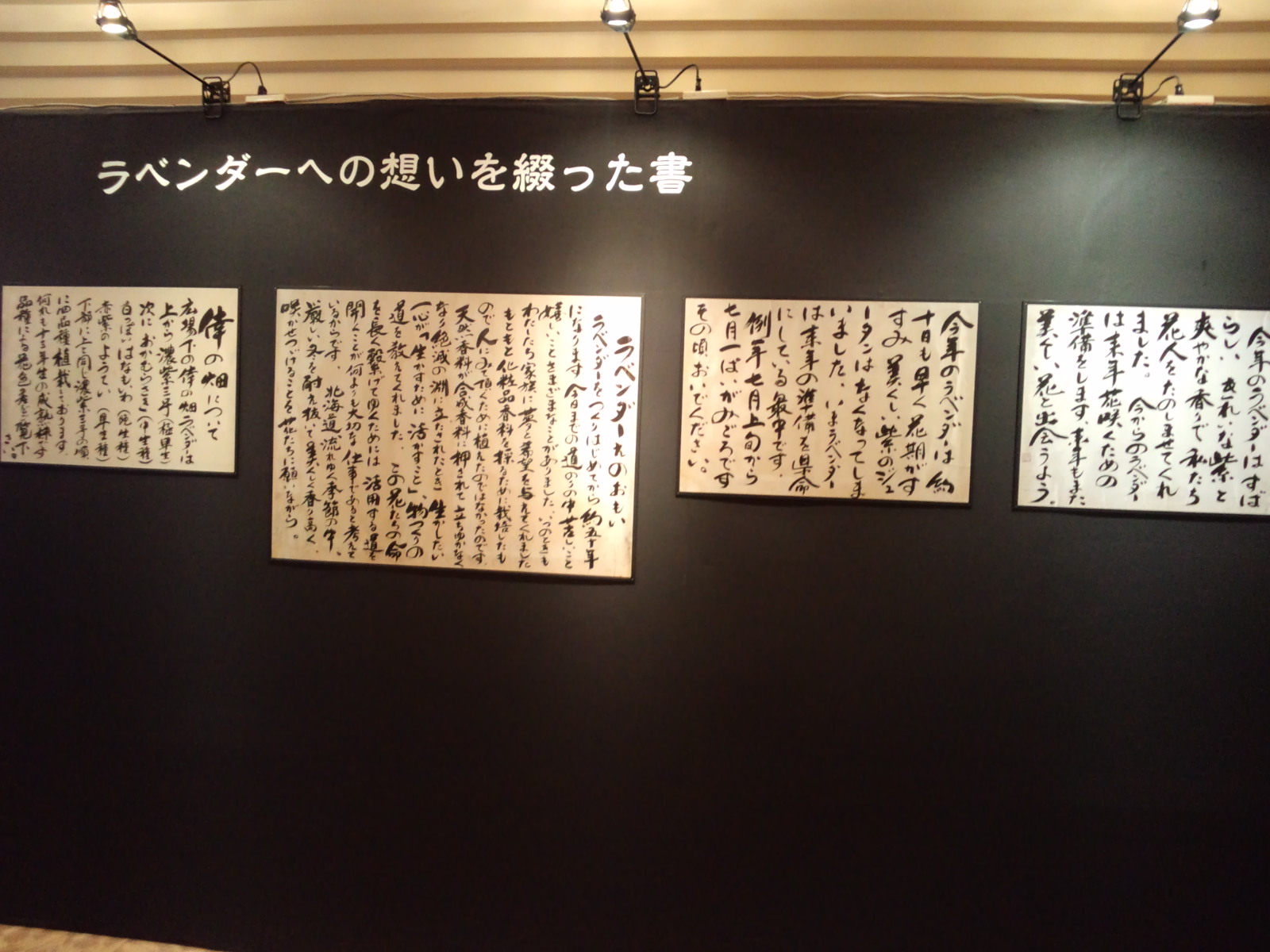 富田忠雄儀 偲ぶ会_a0160770_18163887.jpg