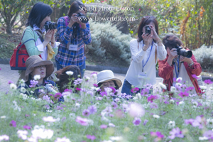 お散歩フォト♪ハーブ園_c0137872_20374828.jpg