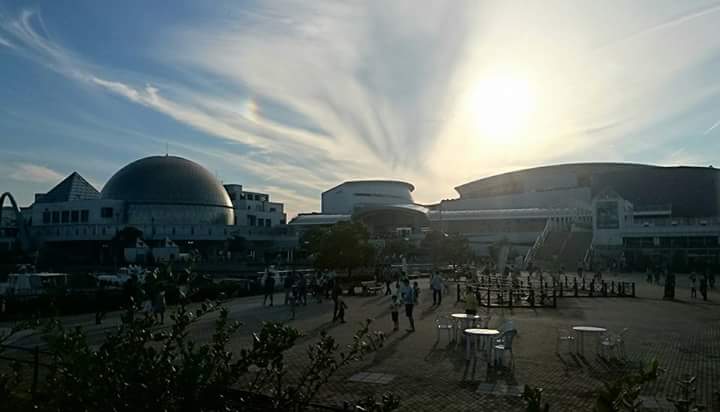 名古屋港水族館で演奏します！_b0143976_1027381.jpg