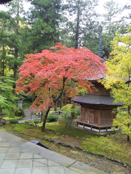 c0346781_2035051.jpg
