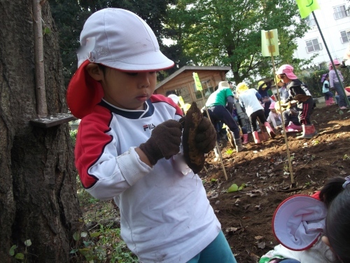 f0334882_18004242.jpg