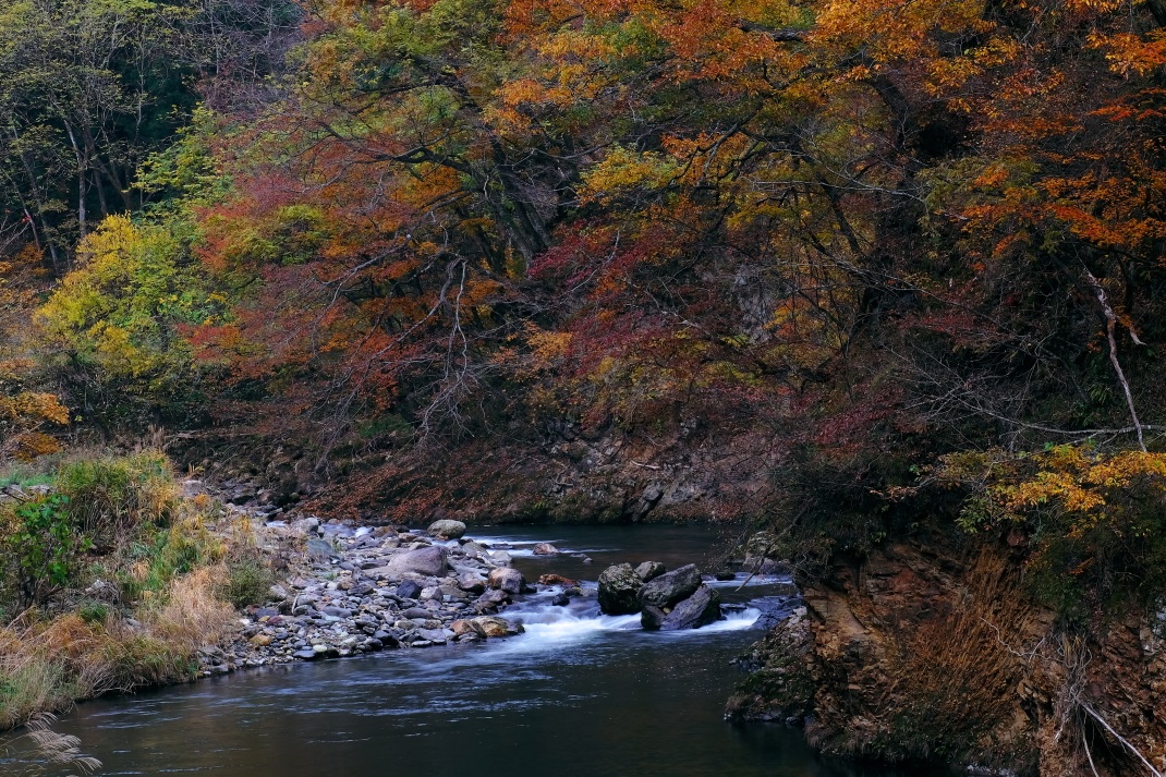 只見線　キハ４０系　滝谷川橋梁　２０１５・１１・０７_e0143883_19505123.jpg