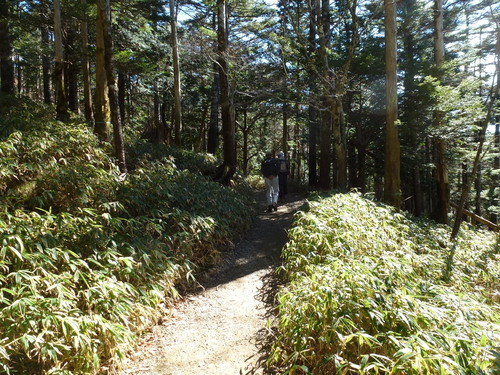 d0263787_21303790.jpg
