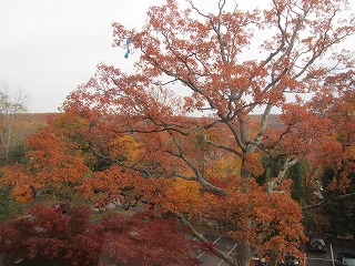b0209691_1355850.jpg