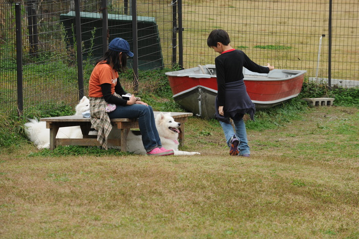 第10回 中部サモエドオフ会 part2_a0049296_20143879.jpg
