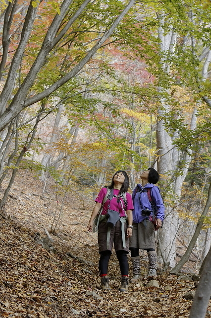 錦秋の大人の山歩き＠滝子山　2015.11.7(土)_c0213096_18591581.jpg