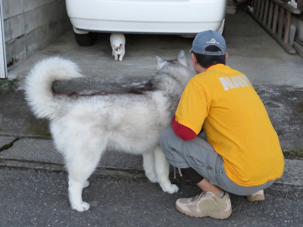 秋の日、こんな日　(*^_^*)_c0049299_2146830.jpg