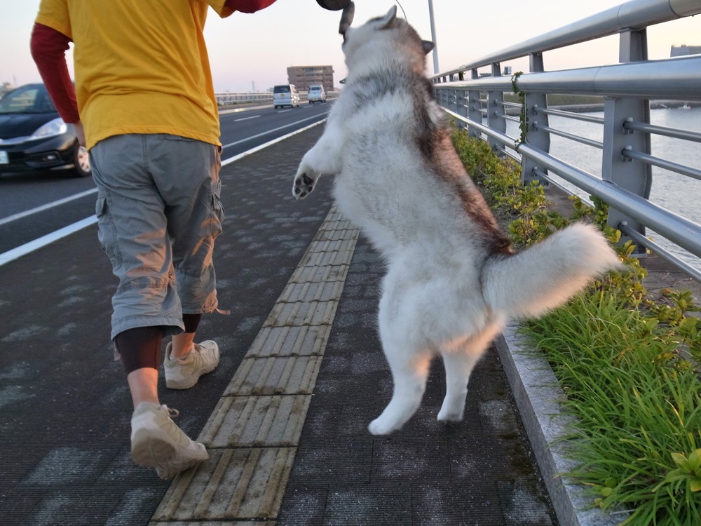 秋の日、こんな日　(*^_^*)_c0049299_21501156.jpg