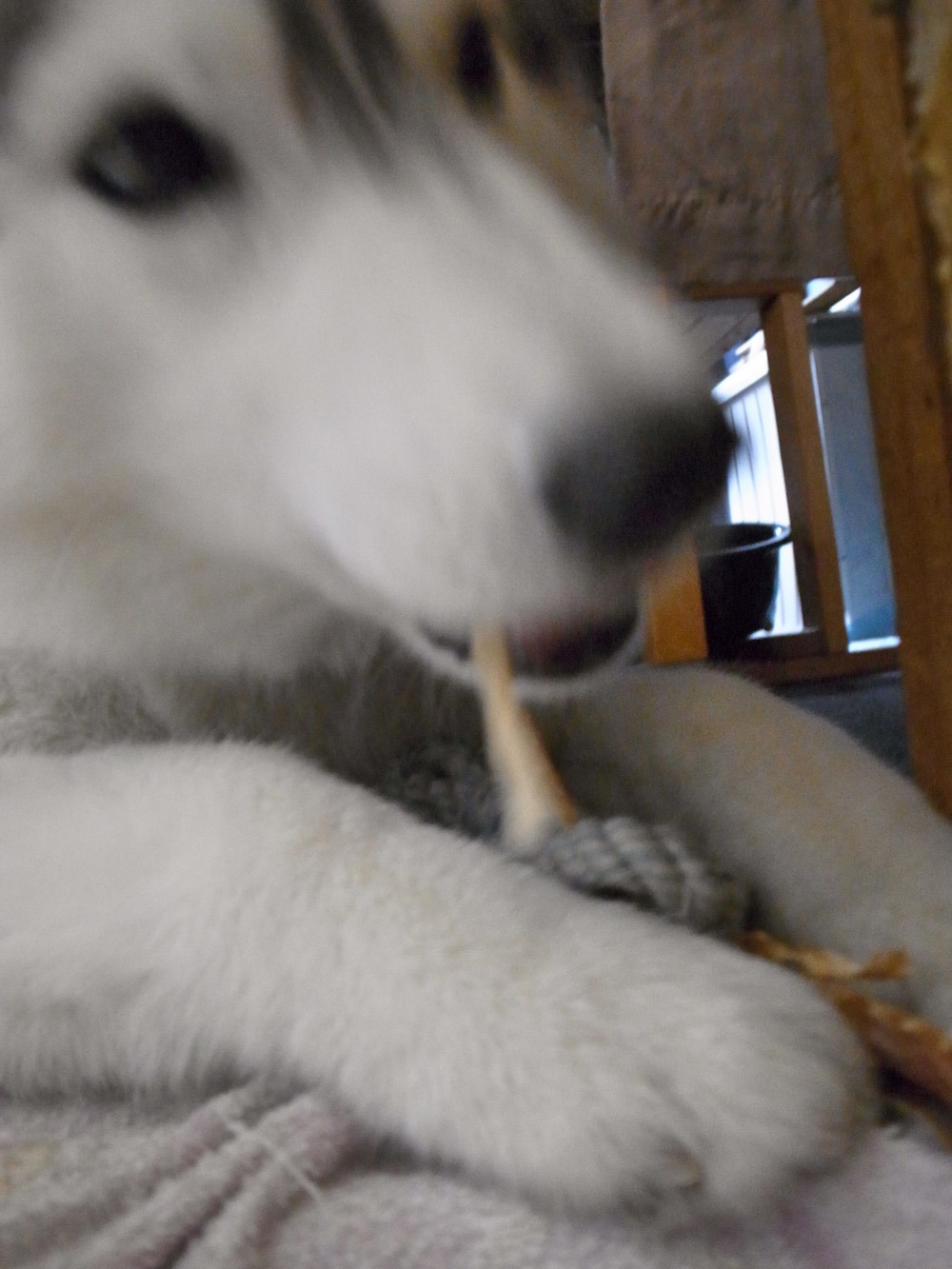 c0049299_21563523.jpg