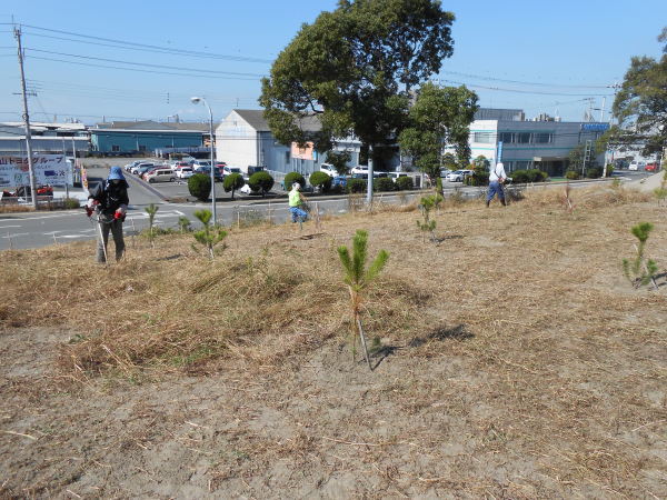 水軒の浜に松を植える会_c0367107_12125244.jpg