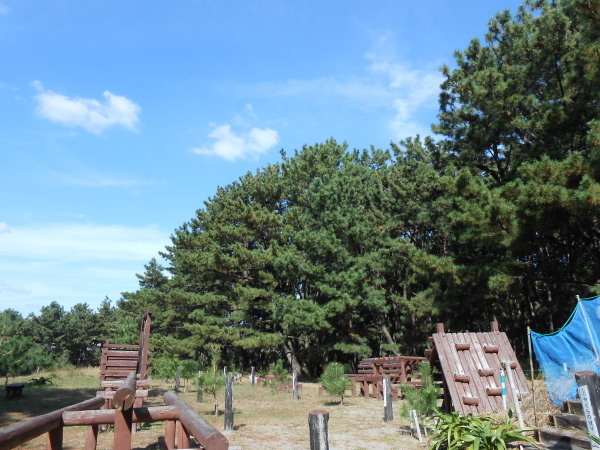 水軒の浜に松を植える会_c0367107_12154119.jpg