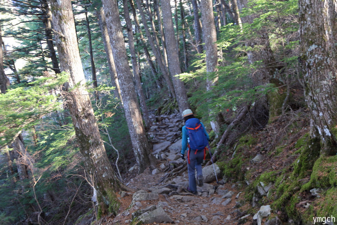 小春日和の瑞牆山 2 Photolog 小春日和の瑞牆山 2 Photolog