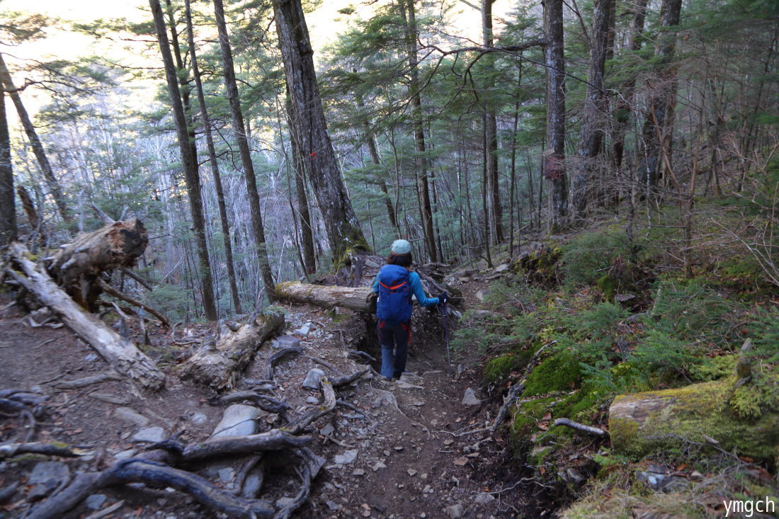 小春日和の瑞牆山 2 Photolog 小春日和の瑞牆山 2 Photolog