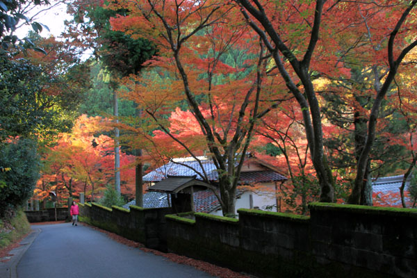 紅葉だより5　吟松寺_e0048413_208354.jpg