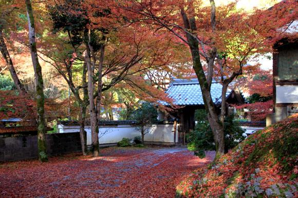 紅葉だより5　吟松寺_e0048413_2096100.jpg