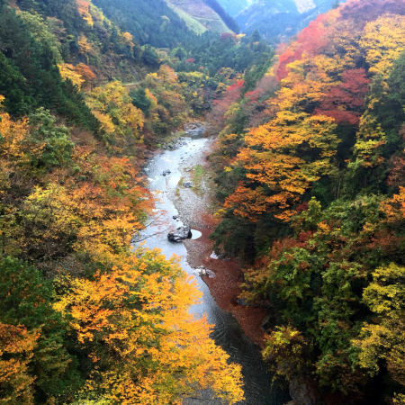 おやまの紅葉2015。_a0118918_12453633.jpg