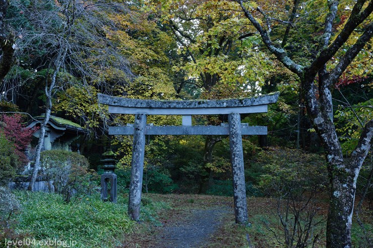 日光 旧奥社･石唐門石鳥居 ～紅葉～_d0319222_11253166.jpg