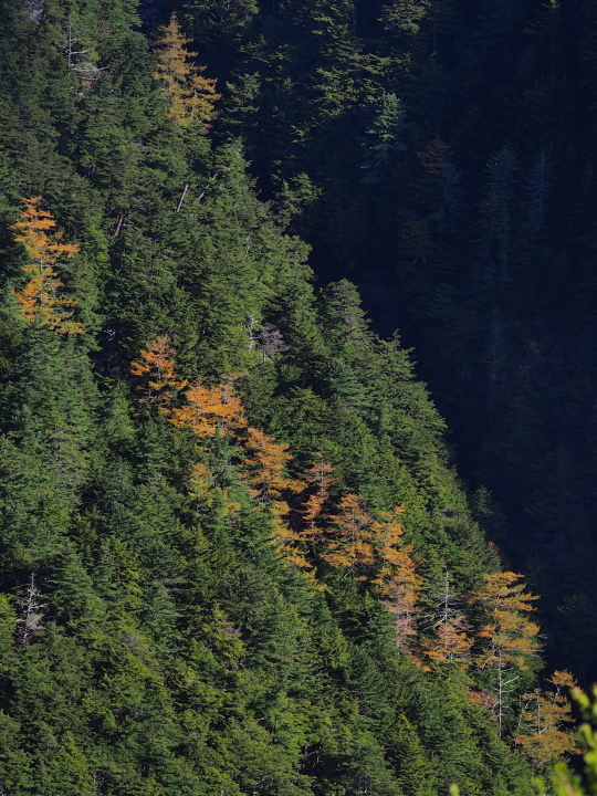 b0244424_23135147.jpg