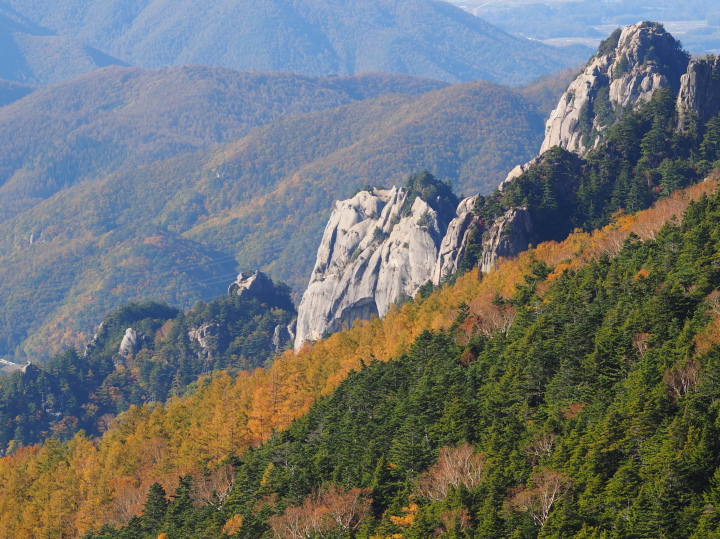 b0244424_265366.jpg