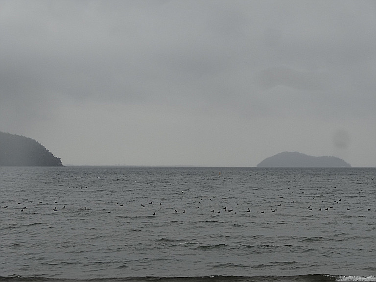d0073324_10553952.jpg