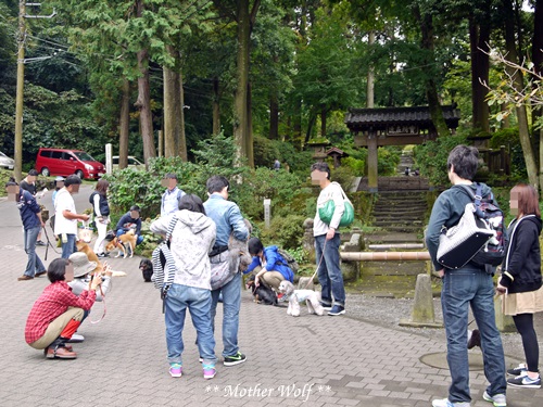 第19回マザーウルフ遠足 鎌倉源氏山レポート_e0191026_12353887.jpg