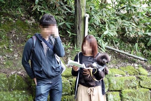 第19回マザーウルフ遠足 鎌倉源氏山レポート_e0191026_12393094.jpg