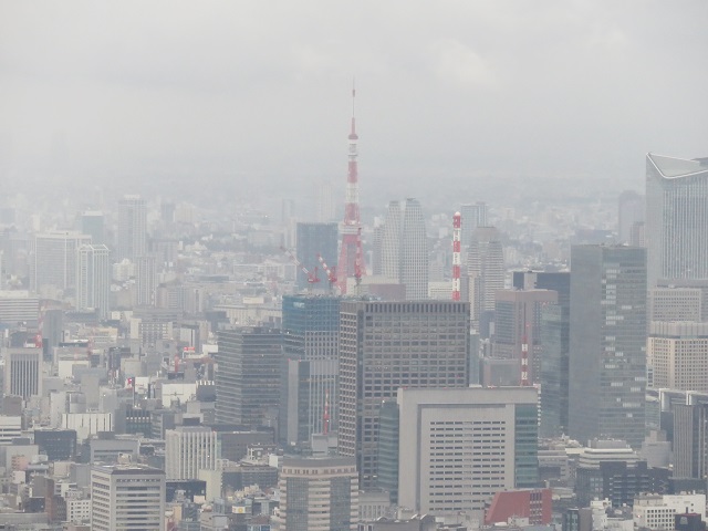 c0236527_3325668.jpg