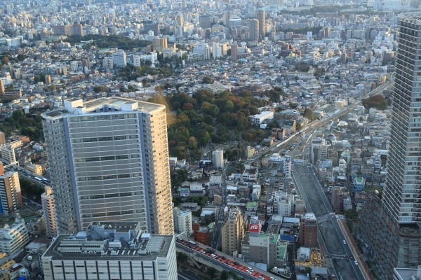 f0229832_1558320.jpg