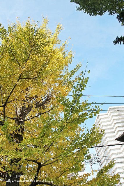 e0052135_2142418.jpg