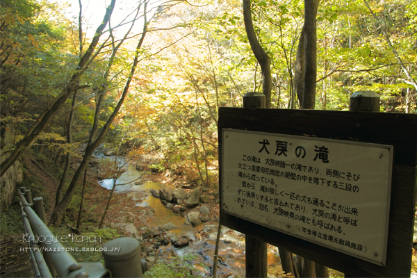 麗らかなお寂し山へ①**山口県・寂地山♪_b0197639_2323112.jpg