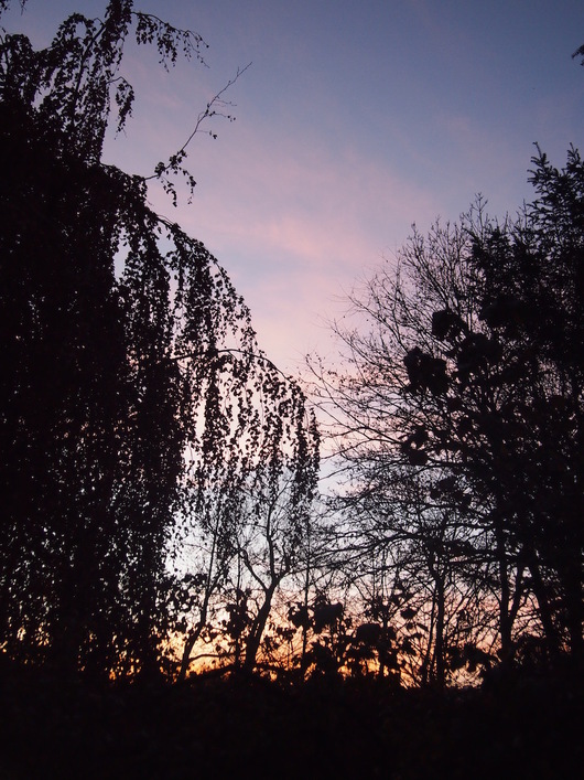 e0211739_6175526.jpg