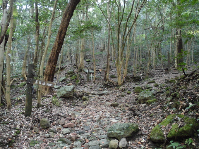 a0206345_1641305.jpg