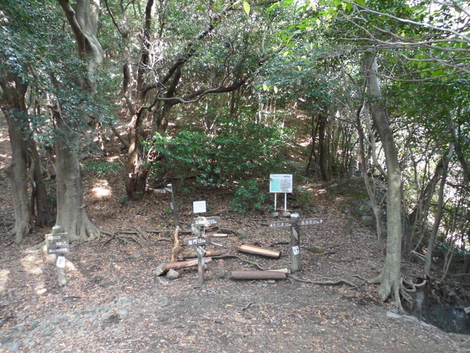 a0206345_16514910.jpg