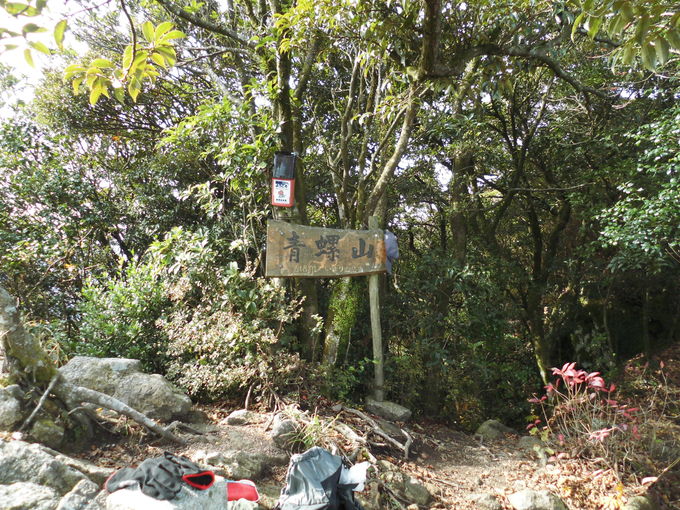 a0206345_1655336.jpg