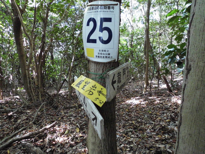 a0206345_17114710.jpg