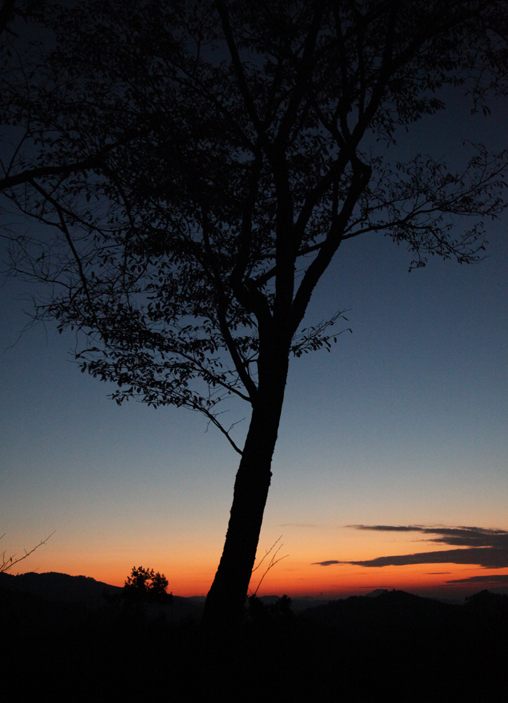 吉野山　上千本　夕景_c0108146_21541391.jpg