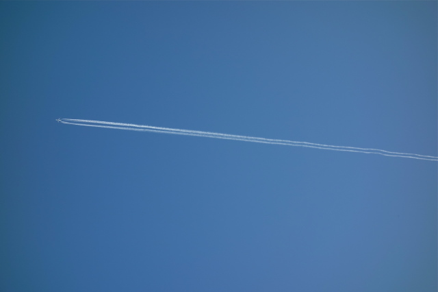 d0101846_07172833.jpg