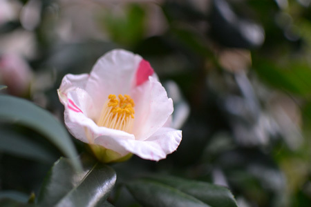 執筆、終盤戦。_d0227246_16353397.jpg