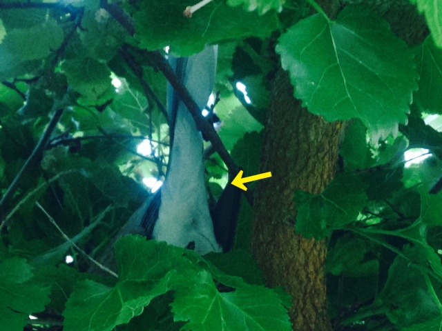 f0304452_2121166.jpg