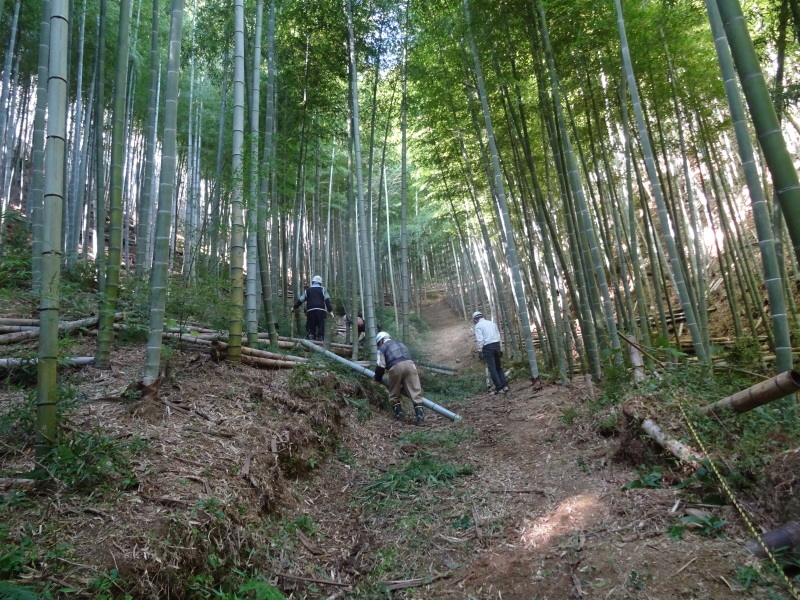 多奈川財産区「竹の里」で4グループの協働作業_c0108460_20511704.jpg