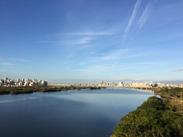 今朝の風景とストーンズ_b0044663_12294625.jpg