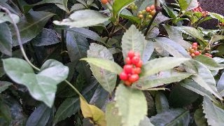 f0256164_12191789.jpg