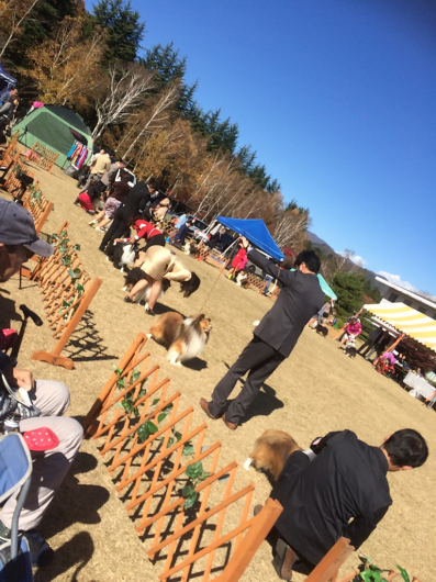 マックスくん無事帰国_f0126965_19282017.jpg
